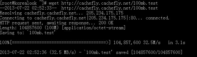 wget253 123systems-1g内存/20g硬盘/1.5T流量/年付20美元