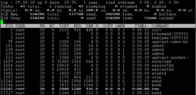 wable-简单测评/512m内存/OVZ/达拉斯VPS-国外主机测评