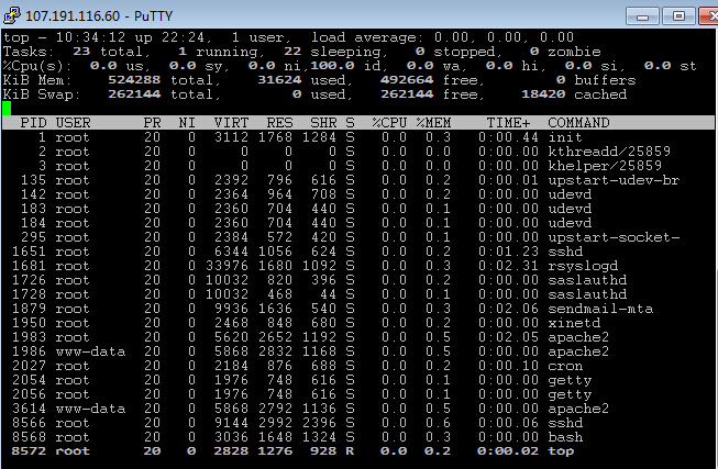 ramnode-月付3.5美元512m内存标准版openvz简单测评-国外主机测评