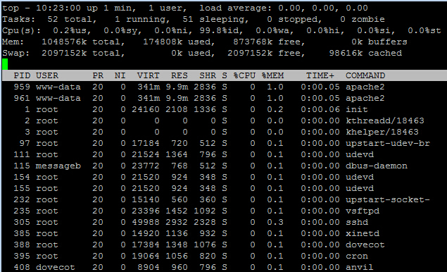 weloveservers-全新SSD硬盘VPS简单测评(附带干货2枚)-国外主机测评