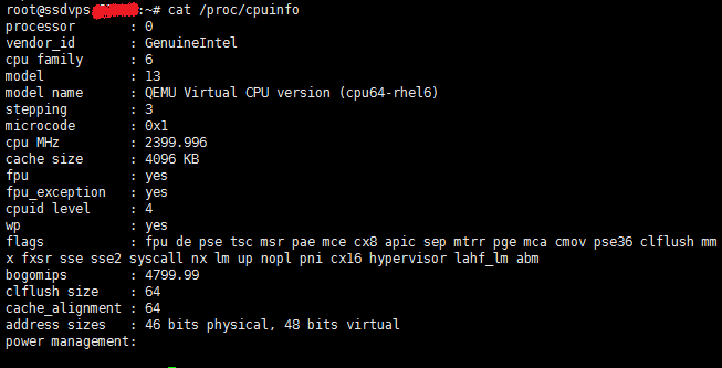 10 vps.net洛杉矶SSDVPS测评及后台使用简单介绍