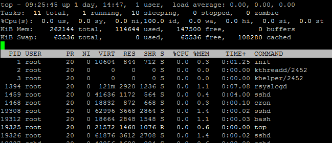 ss2 securedspeed洛杉矶256M内存VPS简单测评