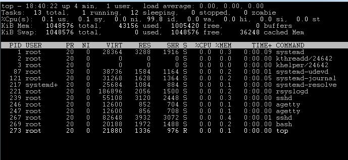 hostus新加坡softlayer机房VPS测评[1G内存]-国外主机测评