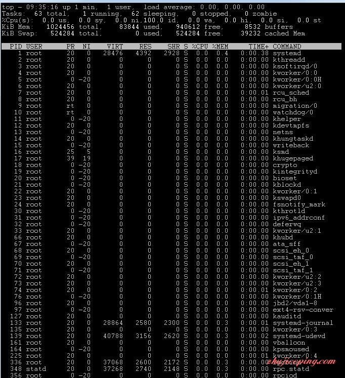 io1 iozoom-洛杉矶KVM最低款VPS简单测评，性能强悍！