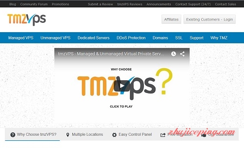 推荐：TmzVPS-$6/2g内存/8核/100g硬盘/2T流量/G口/洛杉矶/webnx-国外主机测评