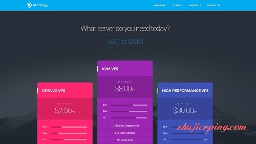 alphavps-2.5美元/1g内存/2CPU/150g硬盘/500g流量/北卡-国外主机测评