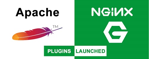 Apache-Nginx-plugins 在线自动把Apache htaccess转Nginx rewrite规则