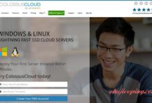 colossuscloud-$5/windows/1g内存/30SSD/2T流量/新加坡等5机房-国外主机测评