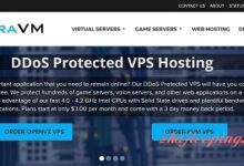 extravm-$8.1/新加坡VPS/KVM/1g内存/15gSSD/DDoS防护100Gbps-国外主机测评