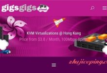 GigsGigsCloud-香港VPS简单测评，走PCCW线路，100M端口-国外主机测评