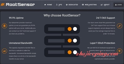 rootsensor #罗马尼亚VPS# rootsensor-$6/KVM/1g内存/20g硬盘/1Gbps/不限流量