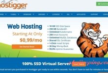 hostigger- 2.99美元/2g内存/20gSSD/2T流量/VMware/windows-国外主机测评