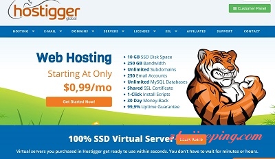hostigger- 2.99美元/2g内存/20gSSD/2T流量/VMware/windows