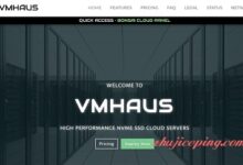 vmhaus -英国VPS/KVM/$15年/256内存/5gNVMe/1T流量-国外主机测评