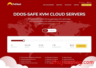 pnzhost：被收购后首轮促销，低至$7.2/年，KVM虚拟VPS，512M内存/1T流量-国外主机测评