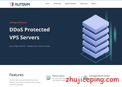 autovm：高达4Tbps防御，5欧/2g内存/20gSSD/1Gbps带宽不限流量-国外主机测评