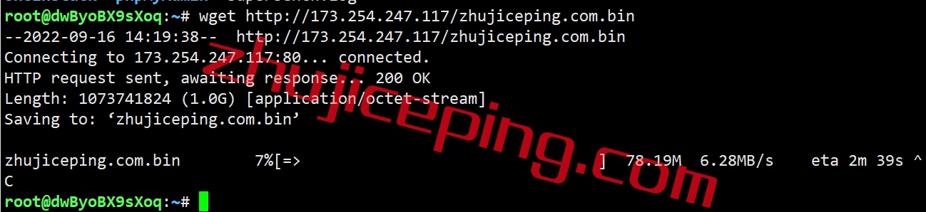 hdare10 hostdare怎么样？简单测评“Los Angeles NVMe SSD KVM VPS”