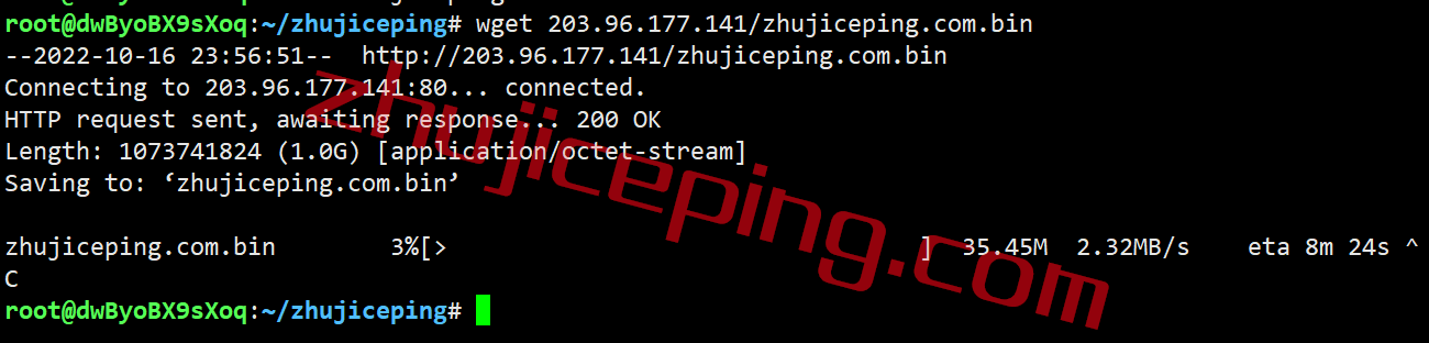 shau10 shockhosting怎么样？简单测评下澳大利亚悉尼数据中心的VPS