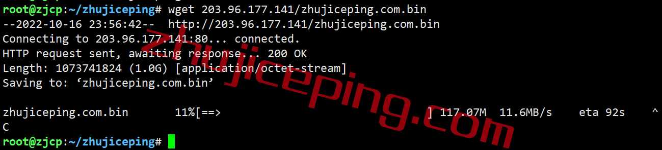 shau11 shockhosting怎么样？简单测评下澳大利亚悉尼数据中心的VPS