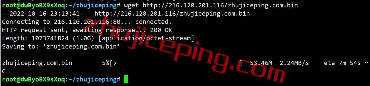 shdver10 shockhosting怎么样？简单测试下丹佛数据中心的VPS