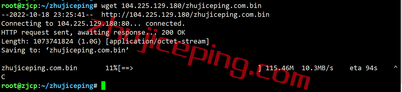 shjv10 shockhosting怎么样？美国东南部杰克逊维尔数据中心的VPS测评