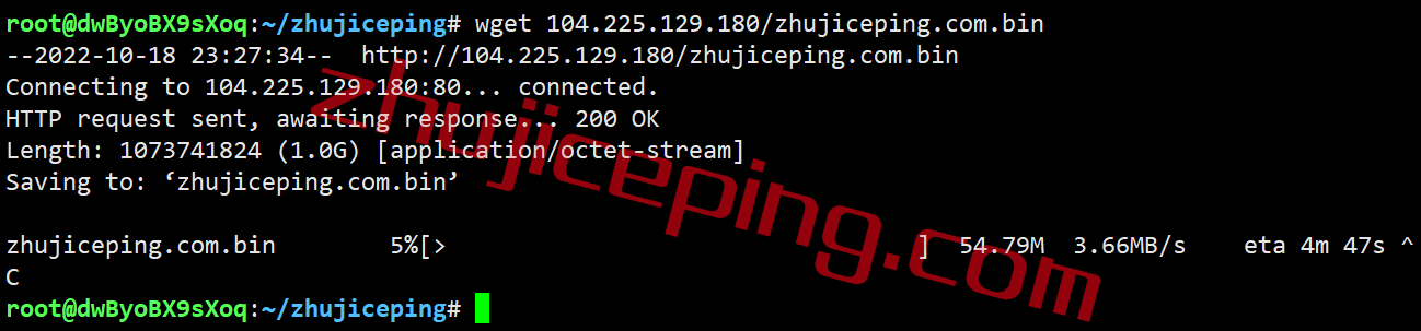 shjv11 shockhosting怎么样？美国东南部杰克逊维尔数据中心的VPS测评