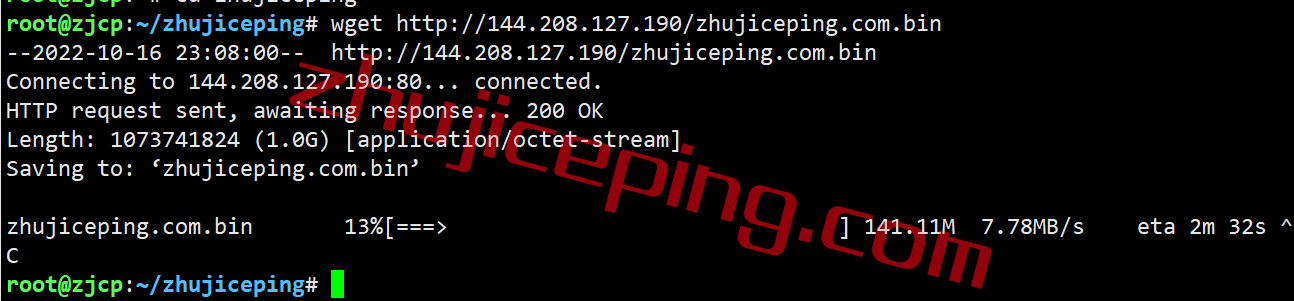 shnj10 shockhosting怎么样？简单测评下东海岸的新泽西VPS