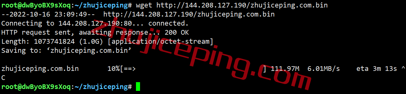 shnj11 shockhosting怎么样？简单测评下东海岸的新泽西VPS