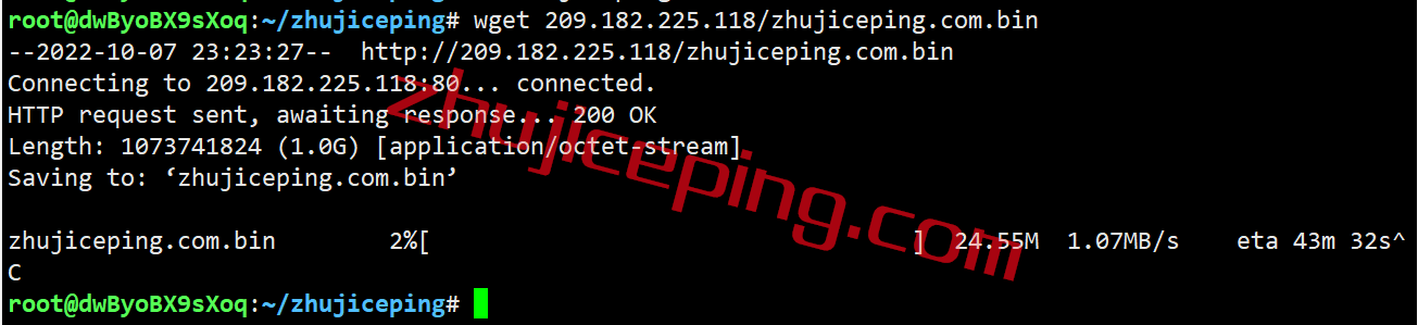 shsea8 shockhosting怎么样？简单测评下西雅图数据的VPS