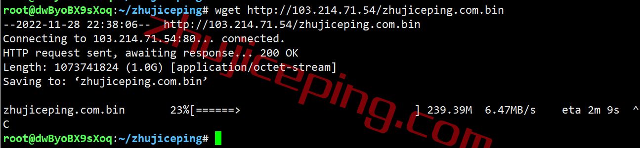 etvm10 简单测评下extravm日本东京VPS，告诉你extravm怎么样