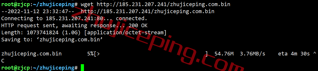 pqie10 the.hosting怎么样？简单测评10Gbps带宽的爱尔兰VPS
