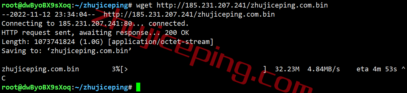 pqie11 the.hosting怎么样？简单测评10Gbps带宽的爱尔兰VPS