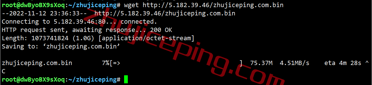 qppt14 the.hosting怎么样？简单测评下葡萄牙里斯本的葡萄牙VPS
