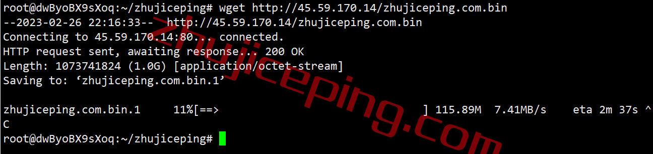 expis12 extravm怎么样？测评下美国东海岸“皮斯卡塔韦”数据中心的VPS