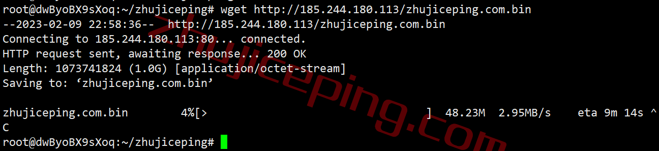 mac10 简单测评下俄罗斯商家macloud，提供高性能VPS+64T大流量，支持按天计费