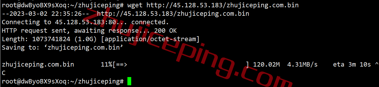 ddpdal11 dedipath怎么样？简单测评下达拉斯数据中心的VPS