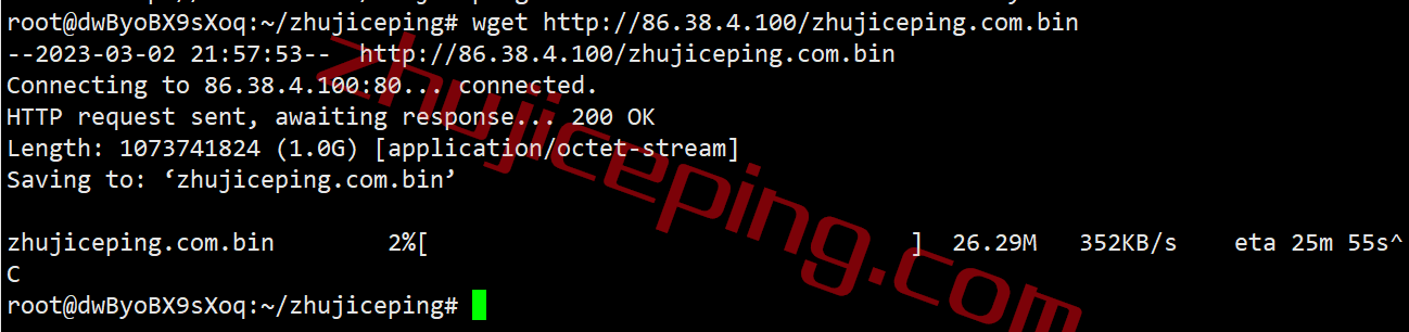 ddplv11 dedipath怎么样？测评拉斯维加斯数据中心的VPS