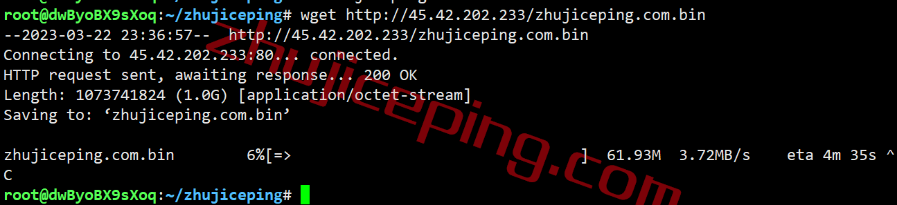 shchi10 smarthost芝加哥VPS(Illinois - USA)测评，解锁TikTok/Netflix奈飞