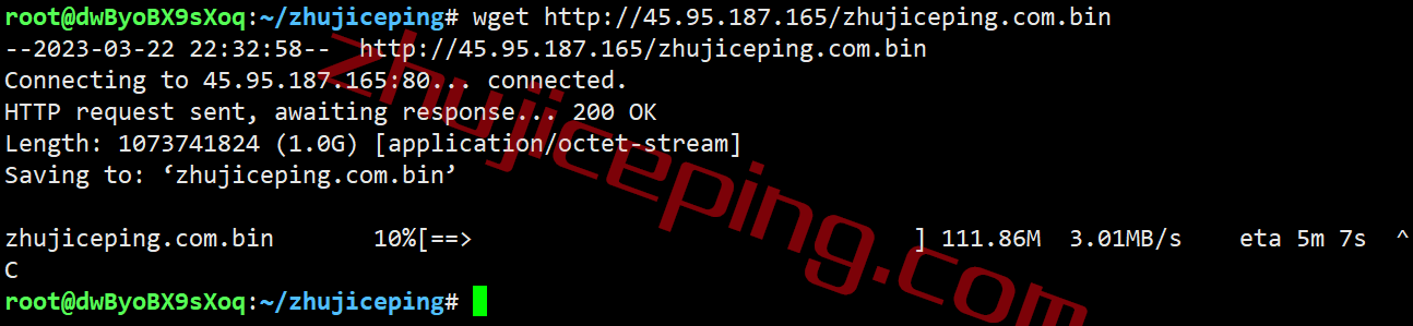 shla11 测评下smarthost洛杉矶"California - USA - South"数据中心的VPS，解锁TikTok/Netflix奈飞
