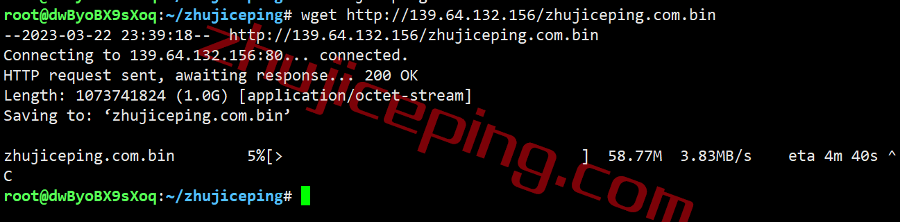 shpl11 简单测评下smarthost的Oregon-USA(波特兰)数据中心的VPS，解锁TikTok/Netflix奈飞