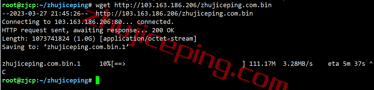spus10 speedypage怎么样？美国阿什本“高性能”VPS测评，回程全直连，性能无敌，解锁Netflix/tiktok