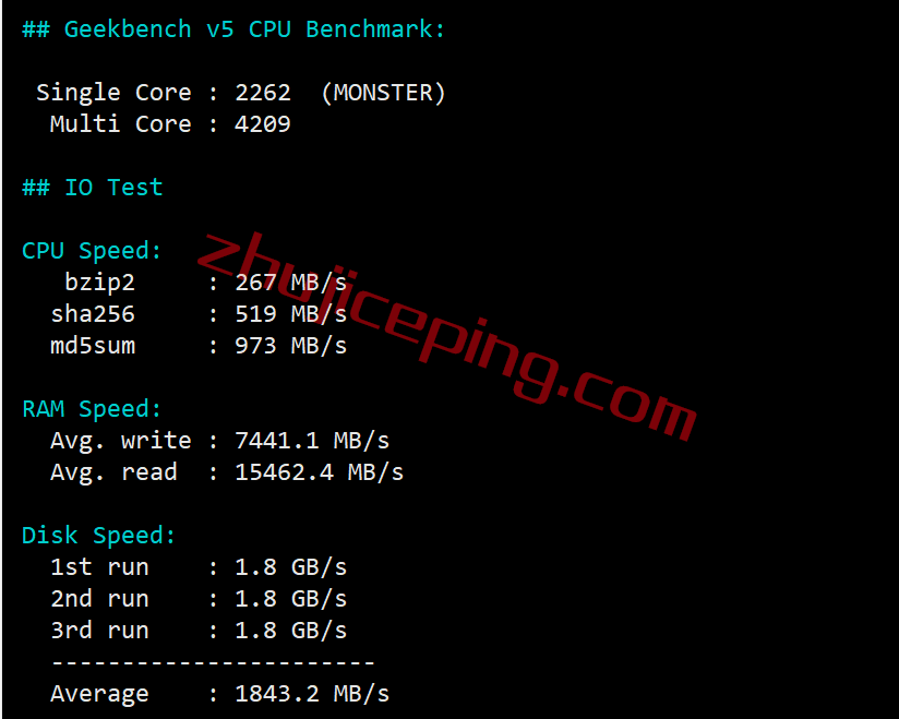 spus29 speedypage怎么样？美国阿什本“高性能”VPS测评，回程全直连，性能无敌，解锁Netflix/tiktok