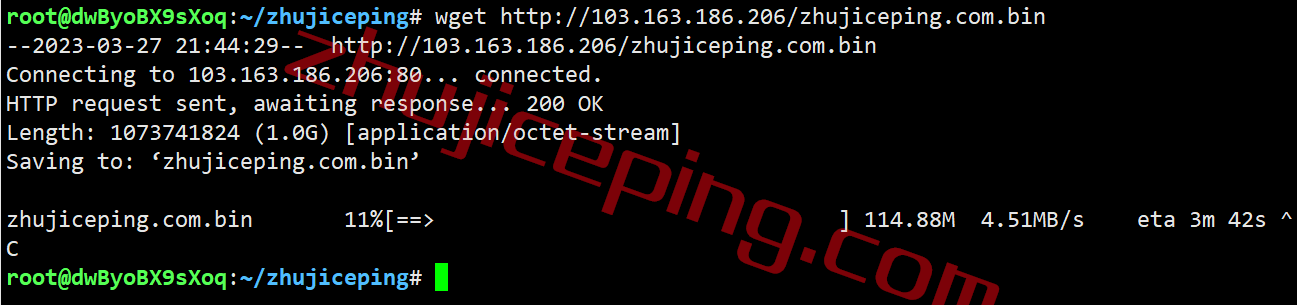 spus9 speedypage怎么样？美国阿什本“高性能”VPS测评，回程全直连，性能无敌，解锁Netflix/tiktok