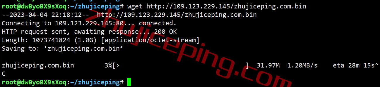 ctbjp10 contabo怎么样？简单测评下日本东京机房的VPS