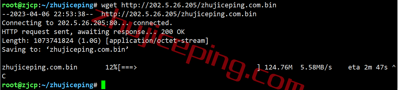 edal11 easyvm怎么样？简单测试下easyvm的达拉斯VPS