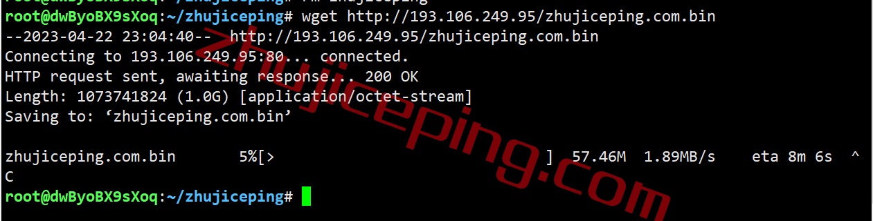 inetde12 inet.ws怎么样？测评下德国法兰克福机房的VPS