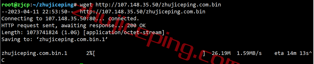 raksgcb11 raksmart新加坡云服务器怎么样？精品网线路(cn2+bgp)测评