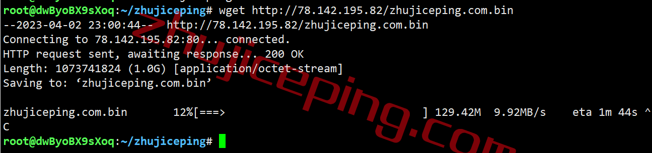 v-ps-nl11 简单测评下V.PS的荷兰VPS，高性能AMD平台+双高端as4809/as9929线路
