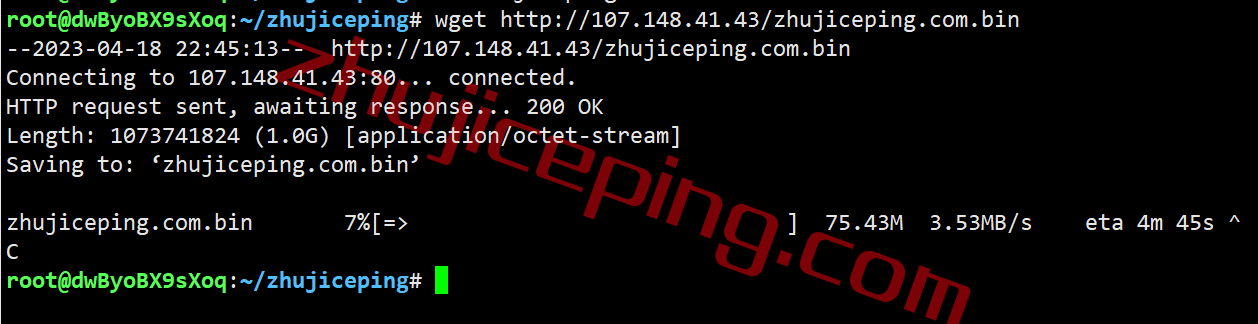 rakclab10 raksmart怎么样？洛杉矶国际BGP线路VPS简单测评