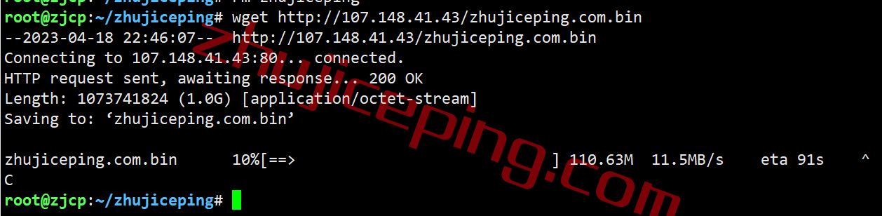 rakclab11 raksmart怎么样？洛杉矶国际BGP线路VPS简单测评